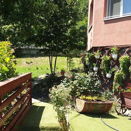 Casa Lorena Sărata-Monteoru Eksteriør billede