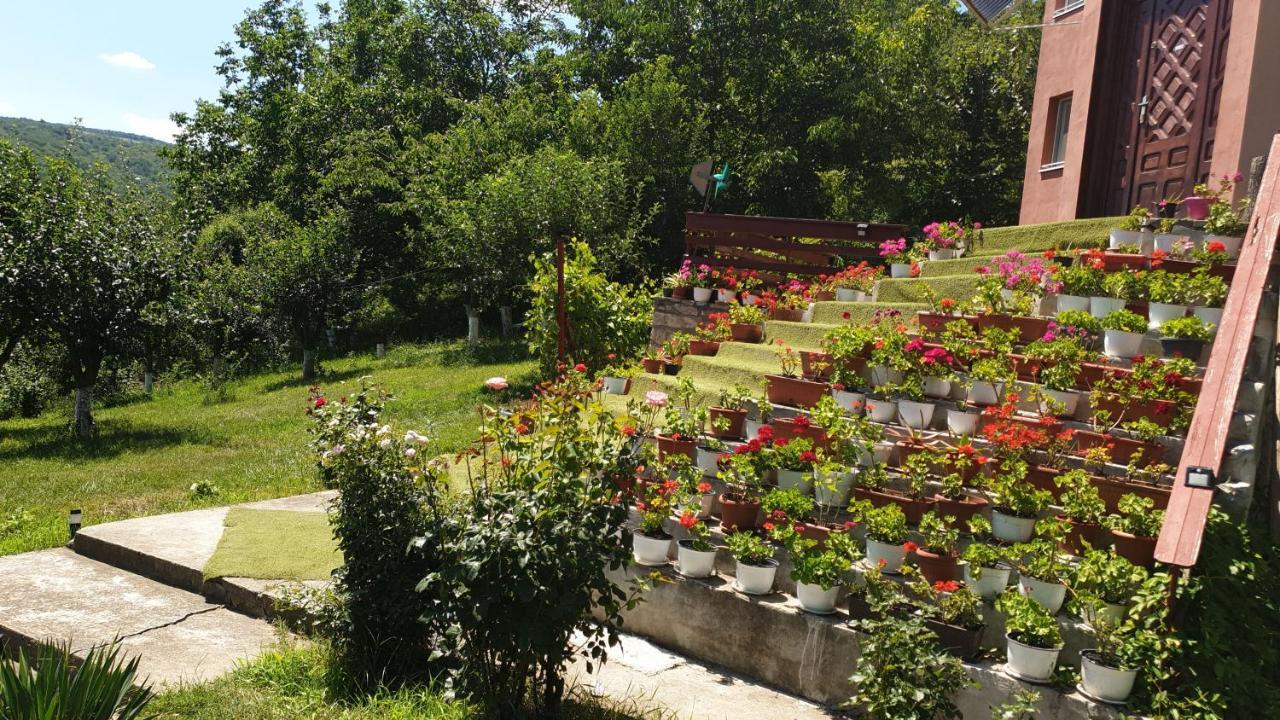 Casa Lorena Sărata-Monteoru Eksteriør billede