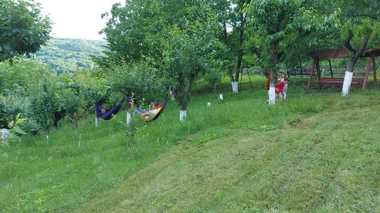 Casa Lorena Sărata-Monteoru Eksteriør billede