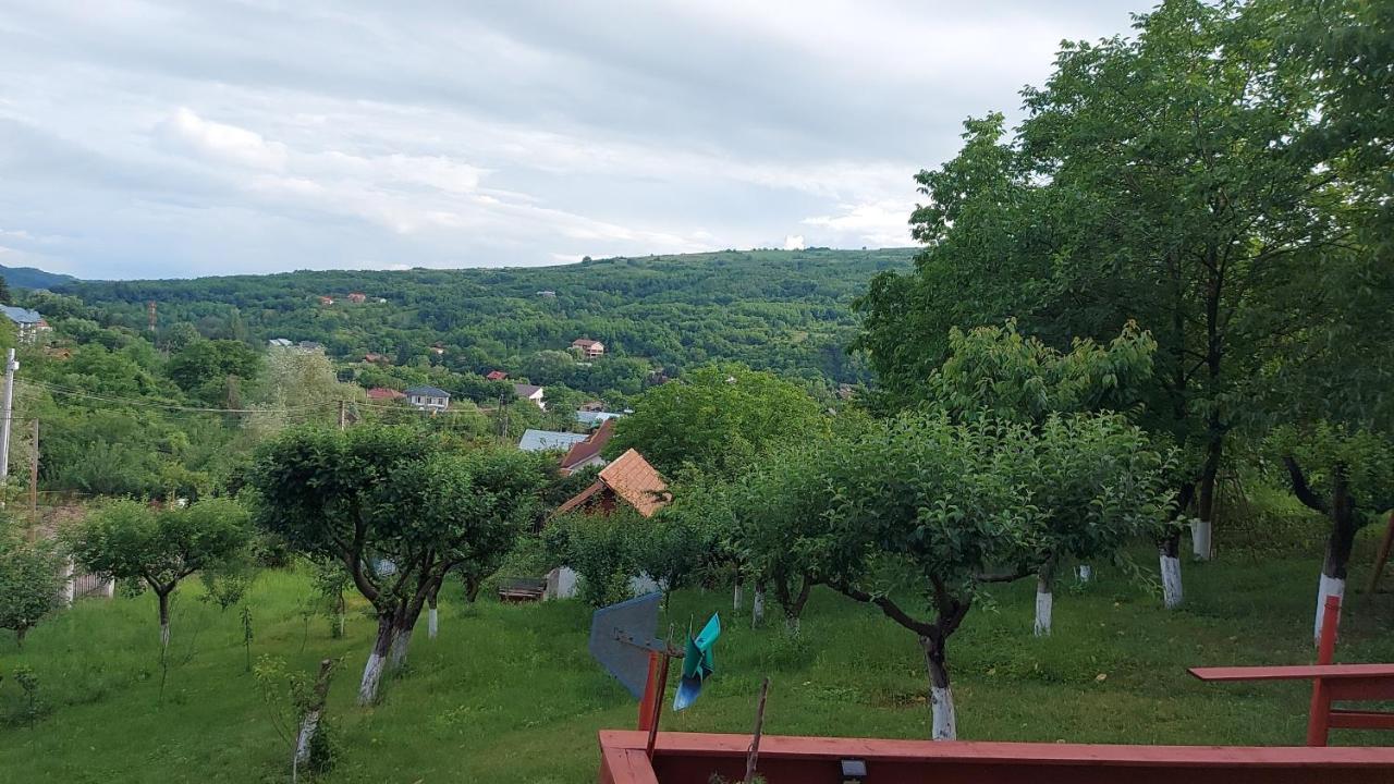 Casa Lorena Sărata-Monteoru Eksteriør billede