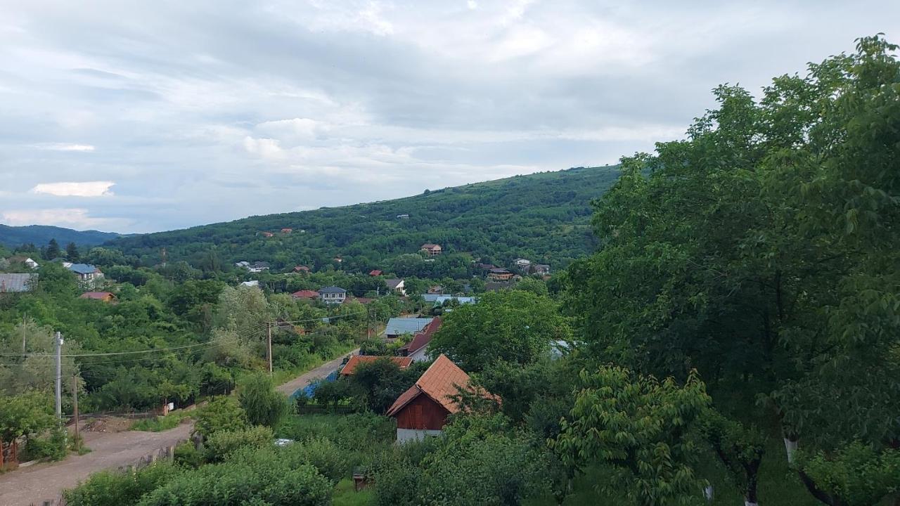 Casa Lorena Sărata-Monteoru Eksteriør billede